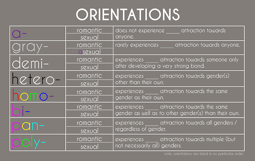 All Genders Chart And Meanings